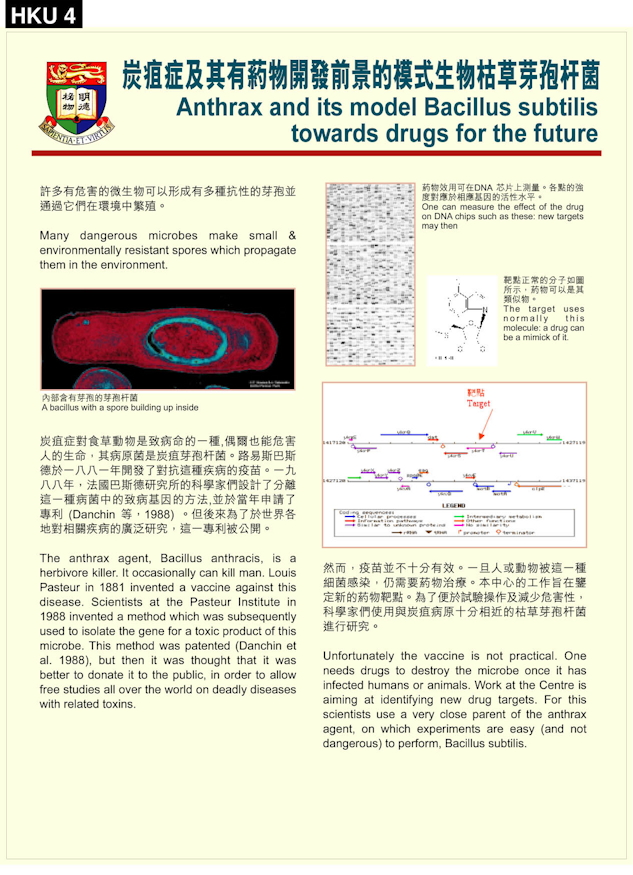 Anthrax and its model Bacillus subtilis