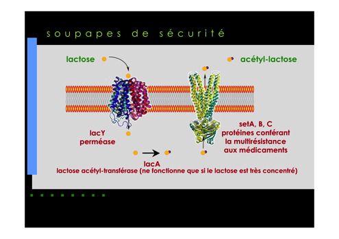 soupape2