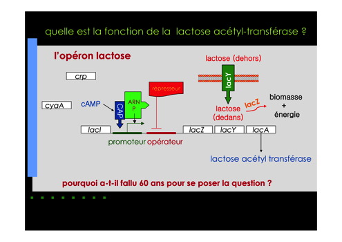 soupape