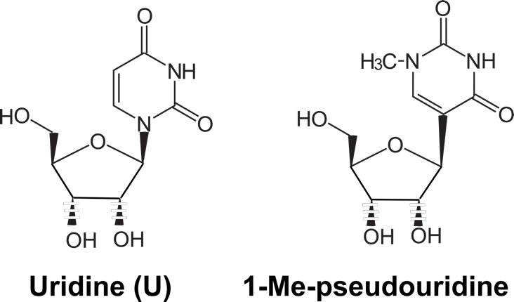 U-PseudoU