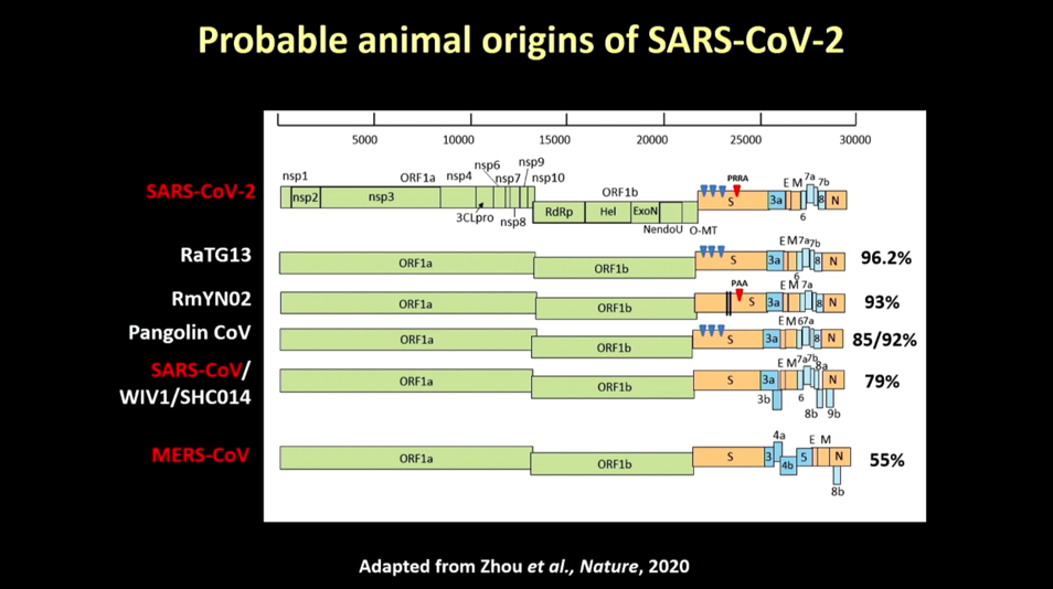 animal-origin