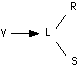 synapses