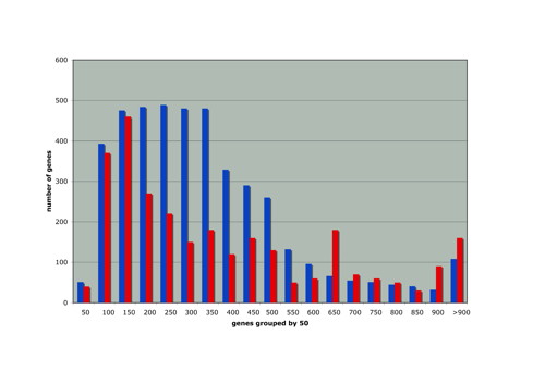 histogram