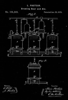 ferment