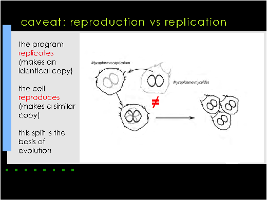 reproduction