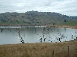 Lac de Wodonga