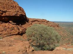 Kings Canyon