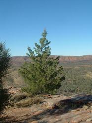 McDonnell Ranges