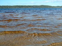 Boomanjin Lake