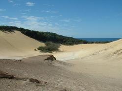 Dunes