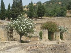 Medina Azahara