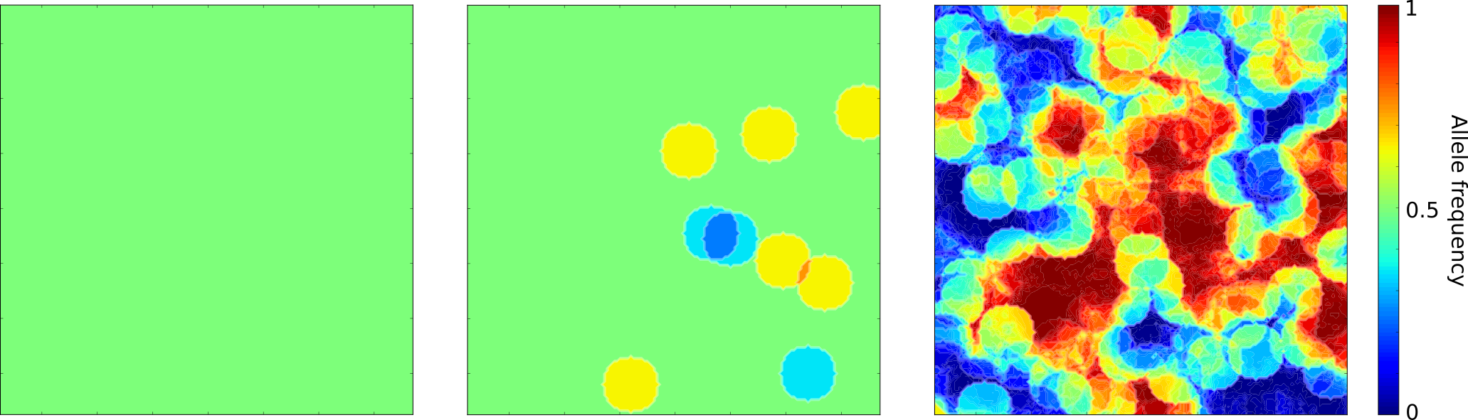 Evolution of neutral allele frequency in the two dimensional SLFV