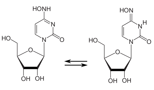 N4C