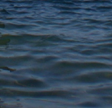 sea and stones