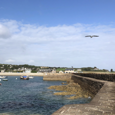 omonville