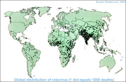 rotavirus