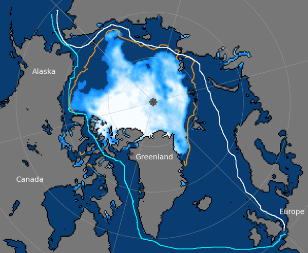 arctic