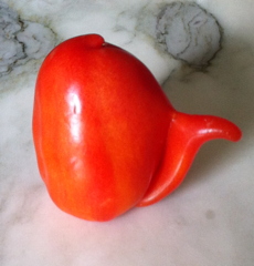 tomate