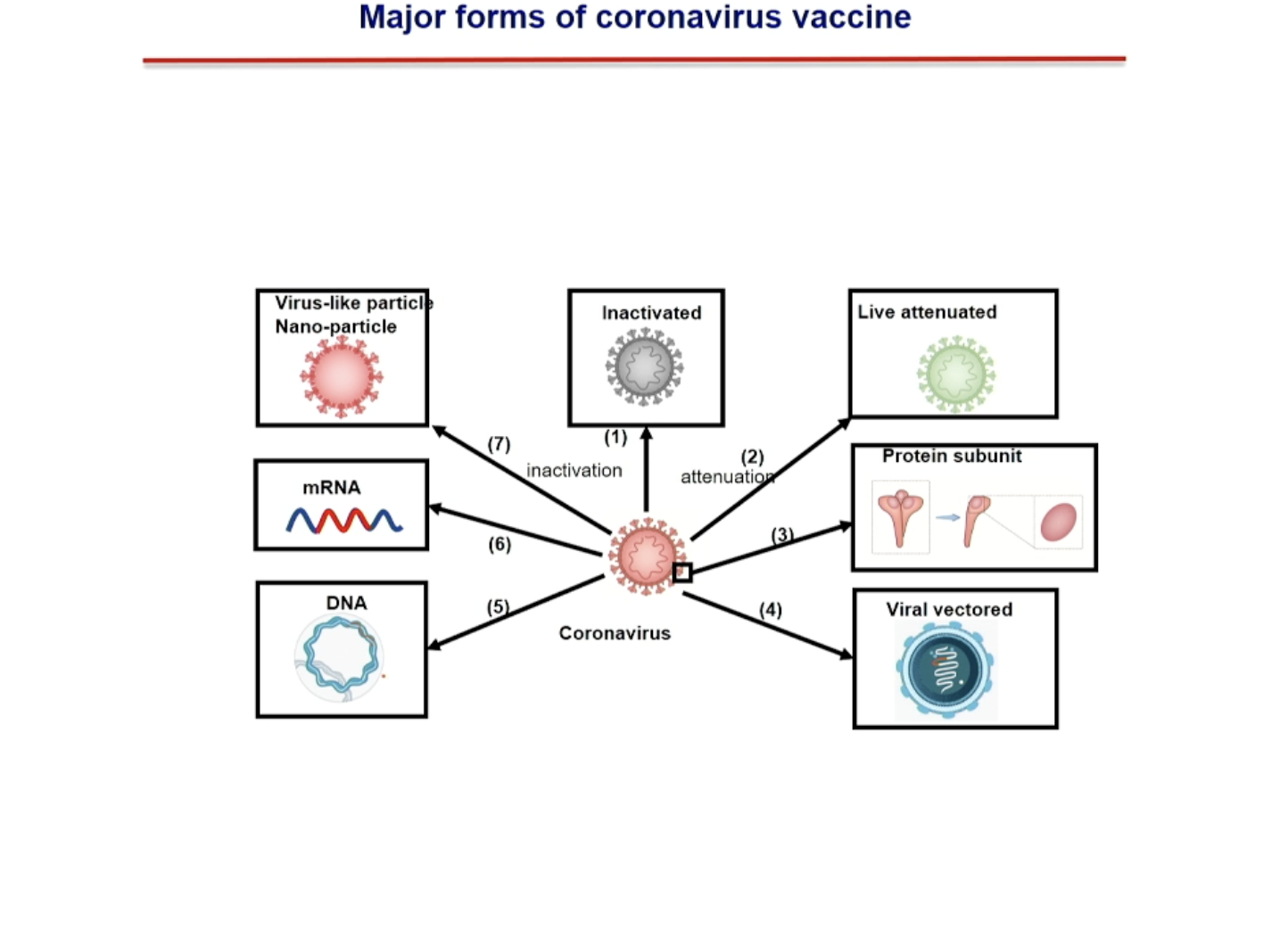 vaccines