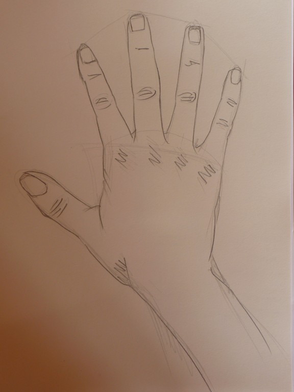 Exo 8: Des mains... Exo8_main_graphique_1b