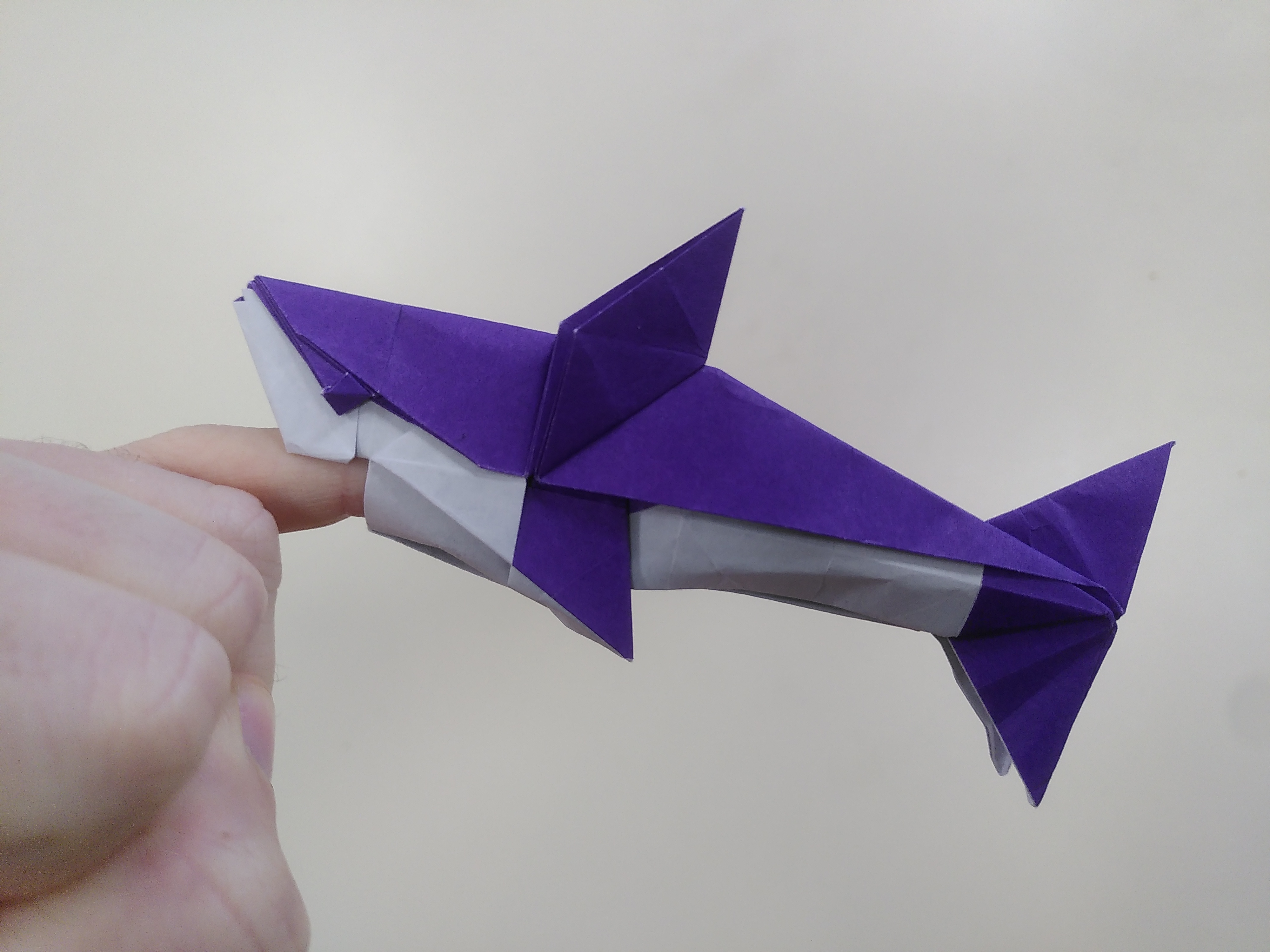Un requin en origami, avec le dos et les nageoires violettes et le ventre blanc, qui a sa gueule tout autour de mon petit doigt.