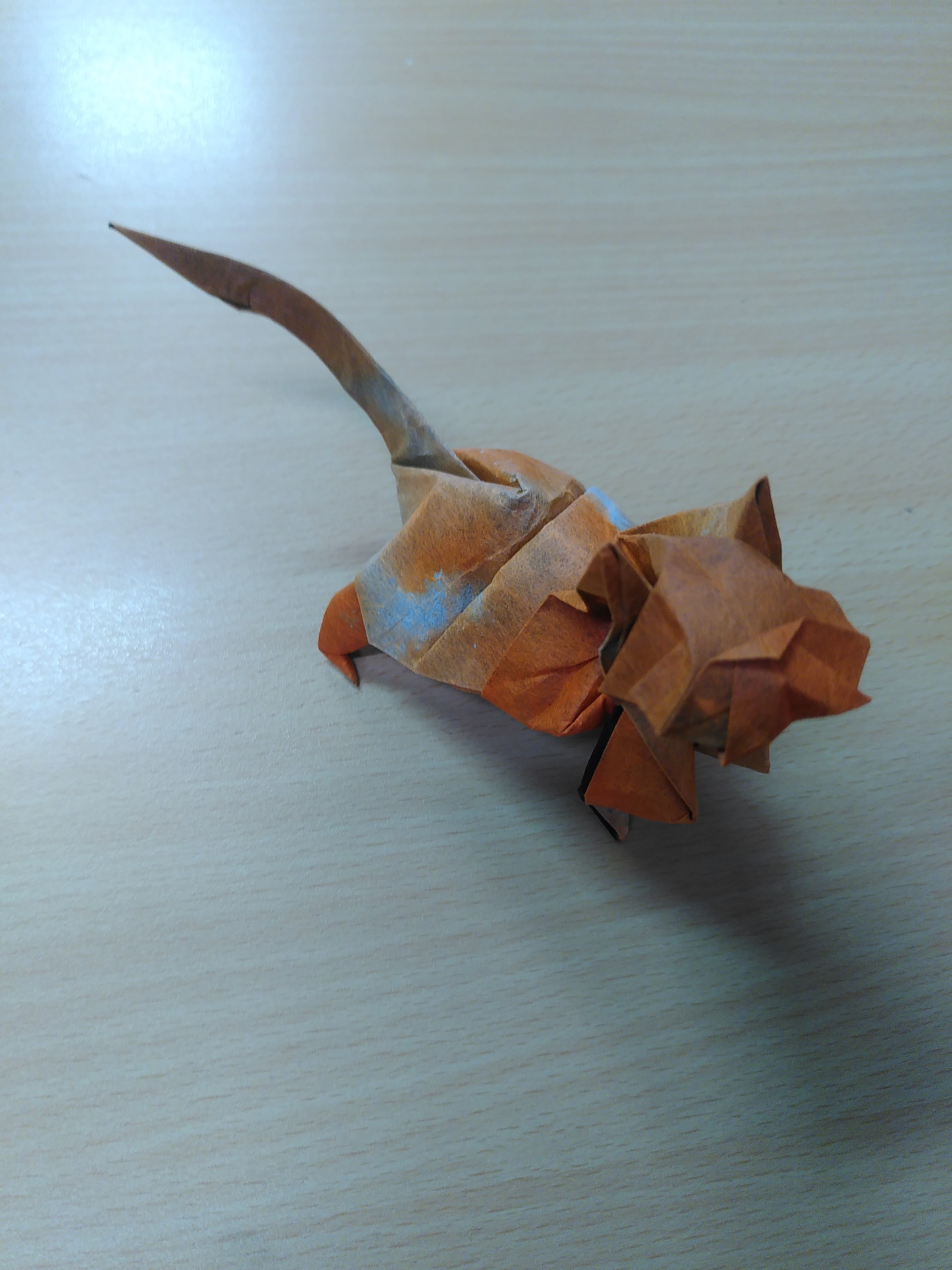 Gros plan sur le chat qui a pris des formes et des courbes.