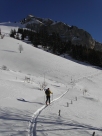 Trace sur le pied du Grammont (Bas-Valais - Suisse)