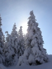 Soudine - Haute-Savoie