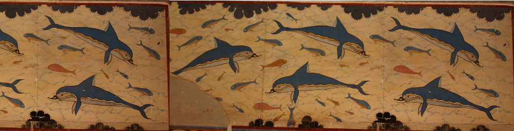 dauphins