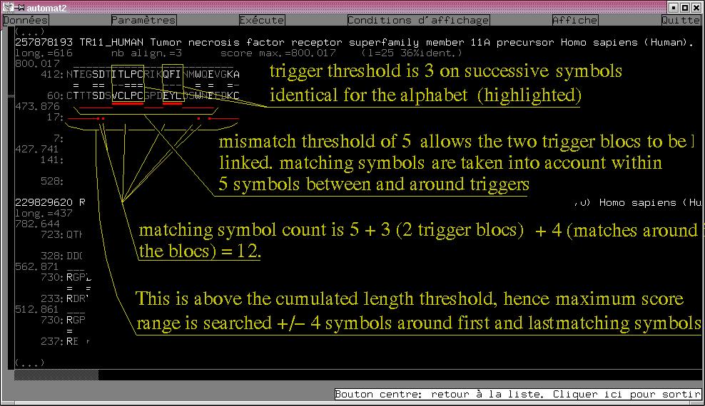 automat2X11 GUI snapshot