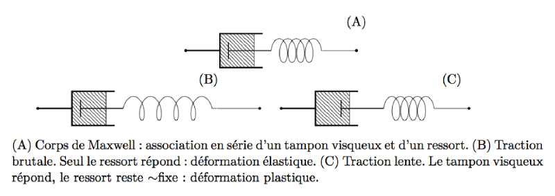 corpsmaxwell_modele.png