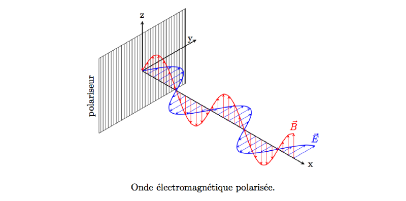 ondes_em_polarisee.png