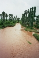 Affluent du Fleuve Rouge