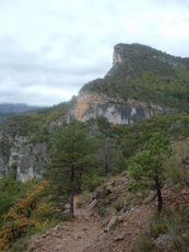 Plateau de Digne-Valensole