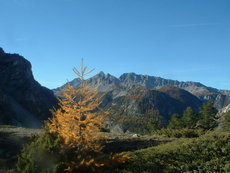 Sur les pentes du Chenaillet