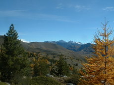 Sur les pentes du Chenaillet