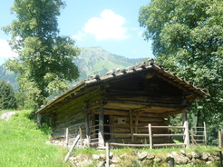 Un chalet  Ballenberg