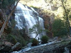 McKenzie Falls