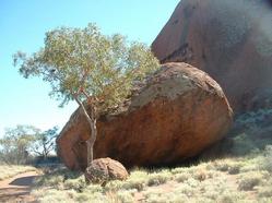 Uluru