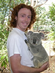 Un koala dans les bras