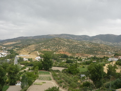 Campagne autour de Priego de Cordoba