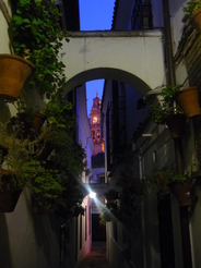 Minaret de la Mezquita de nuit