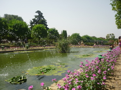 Jardins de l'Alcazar, Cordoue