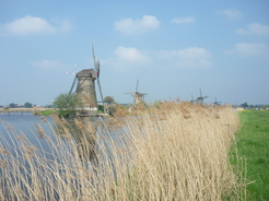 Moulins de Kinderdijk