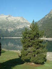 Lac d'Ordon