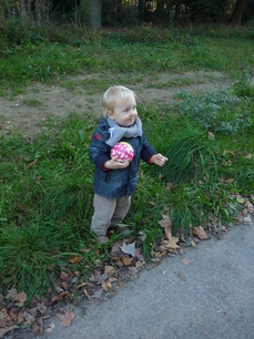 En promenade au bois