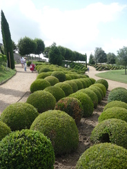Jardins  Amboise