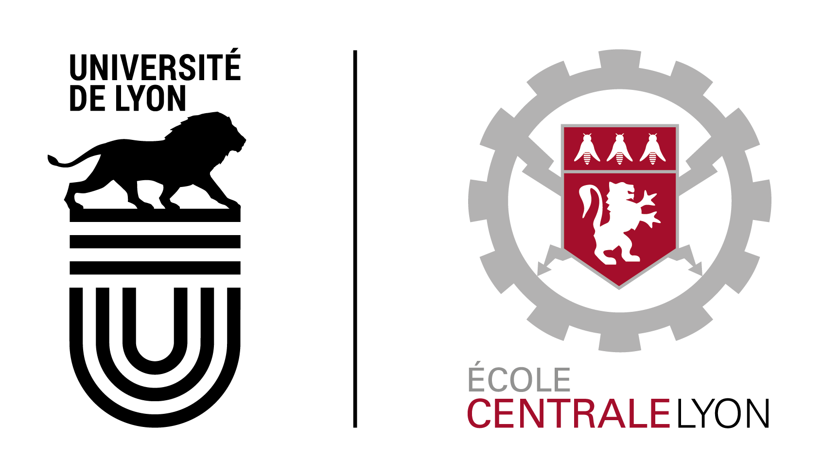 Ecole Centrale de Lyon