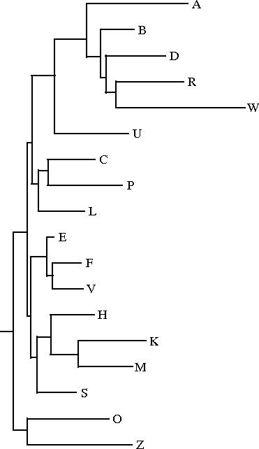 phenogramme.jpg