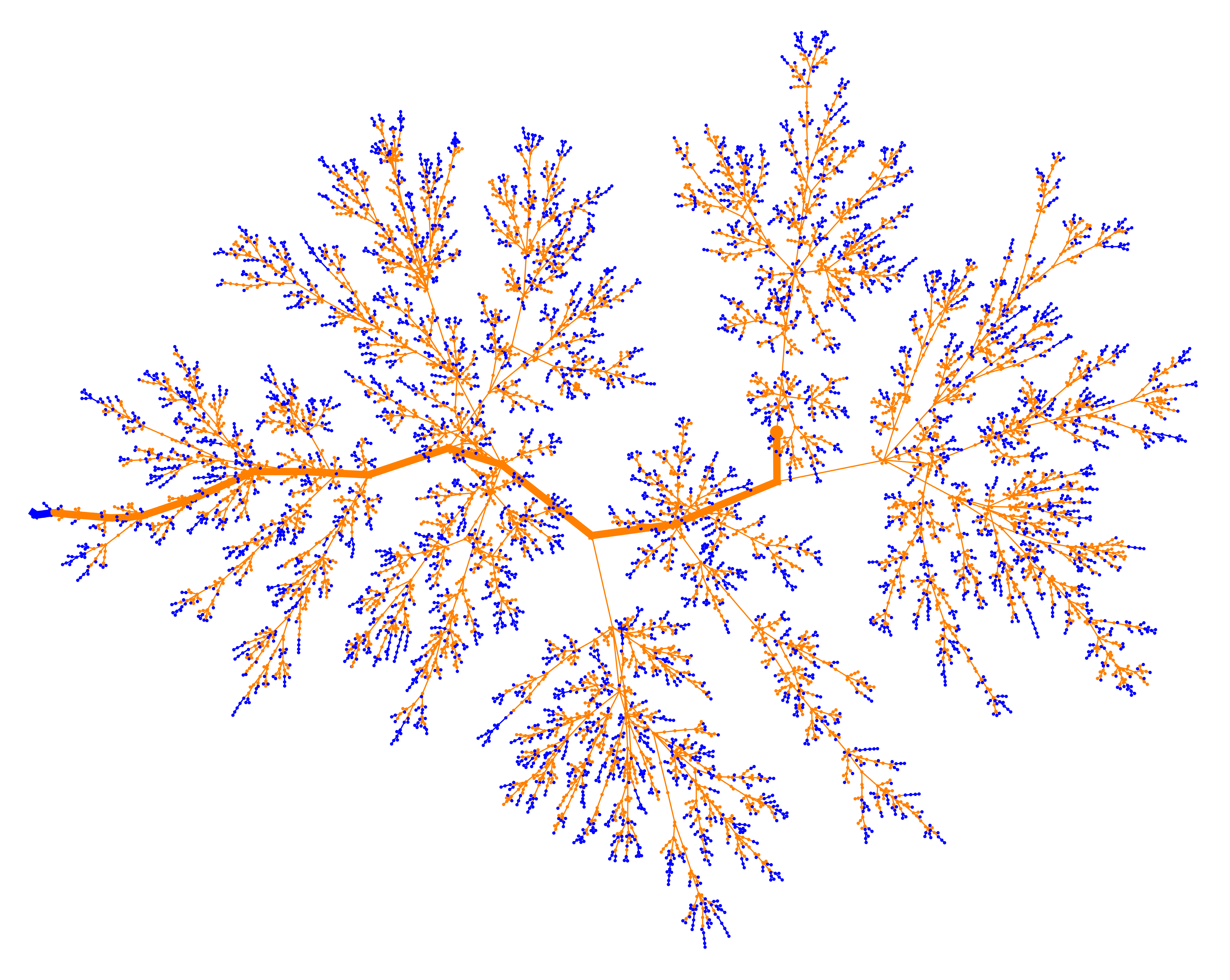 infection tree2